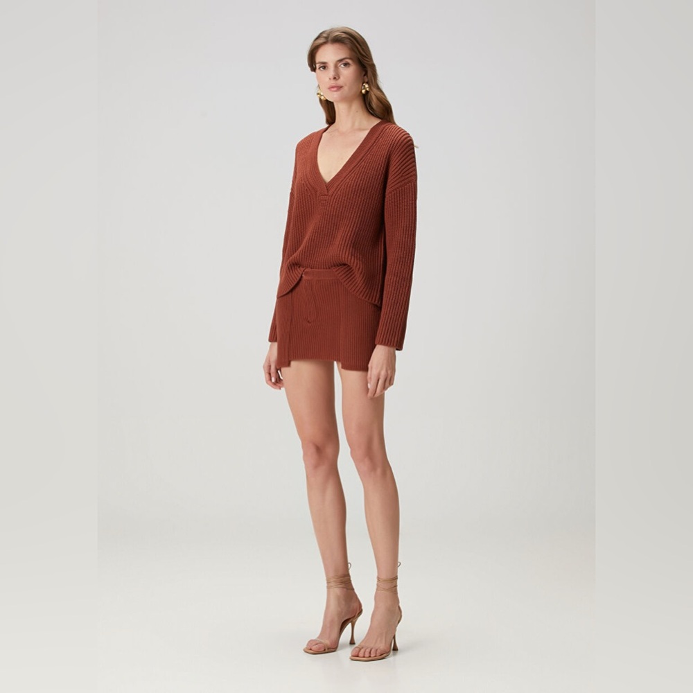 NWT Aya Muse Rever Mini Skirt color Cinnamon size Small